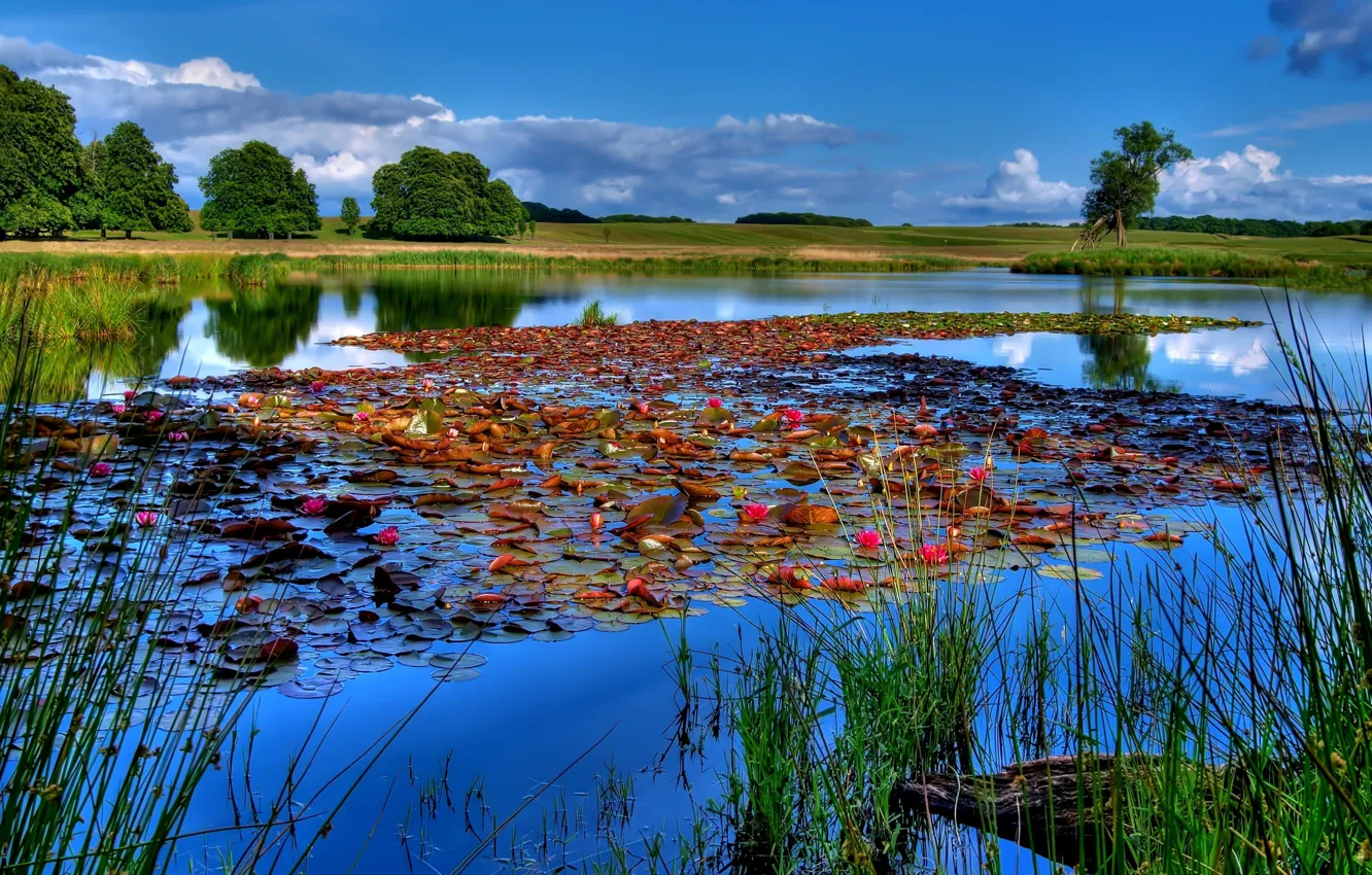 Фото обои небо, вода, пейзаж, озеро, река, лилии, рыбалка