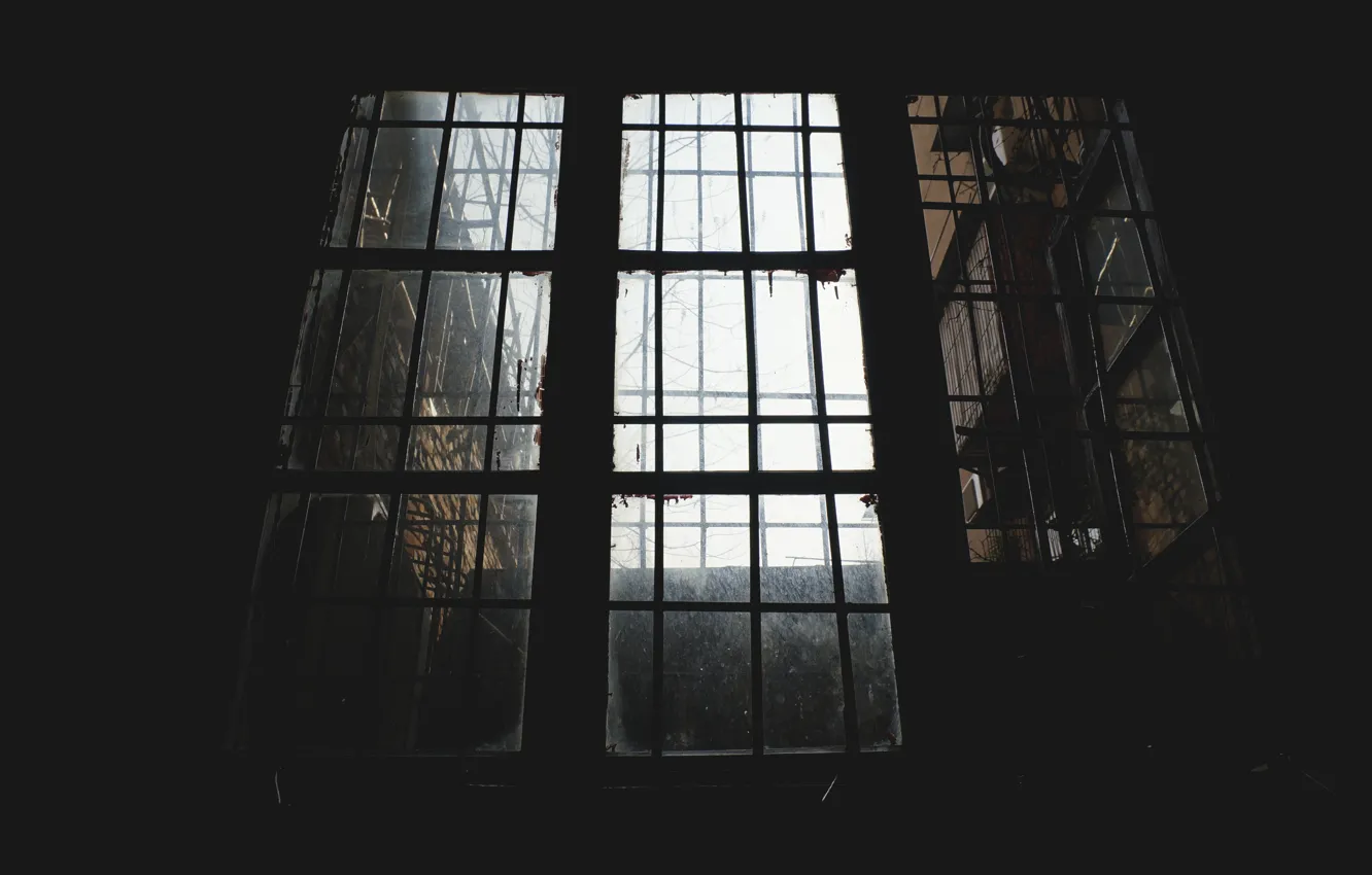 Фото обои light, morning, window, interior
