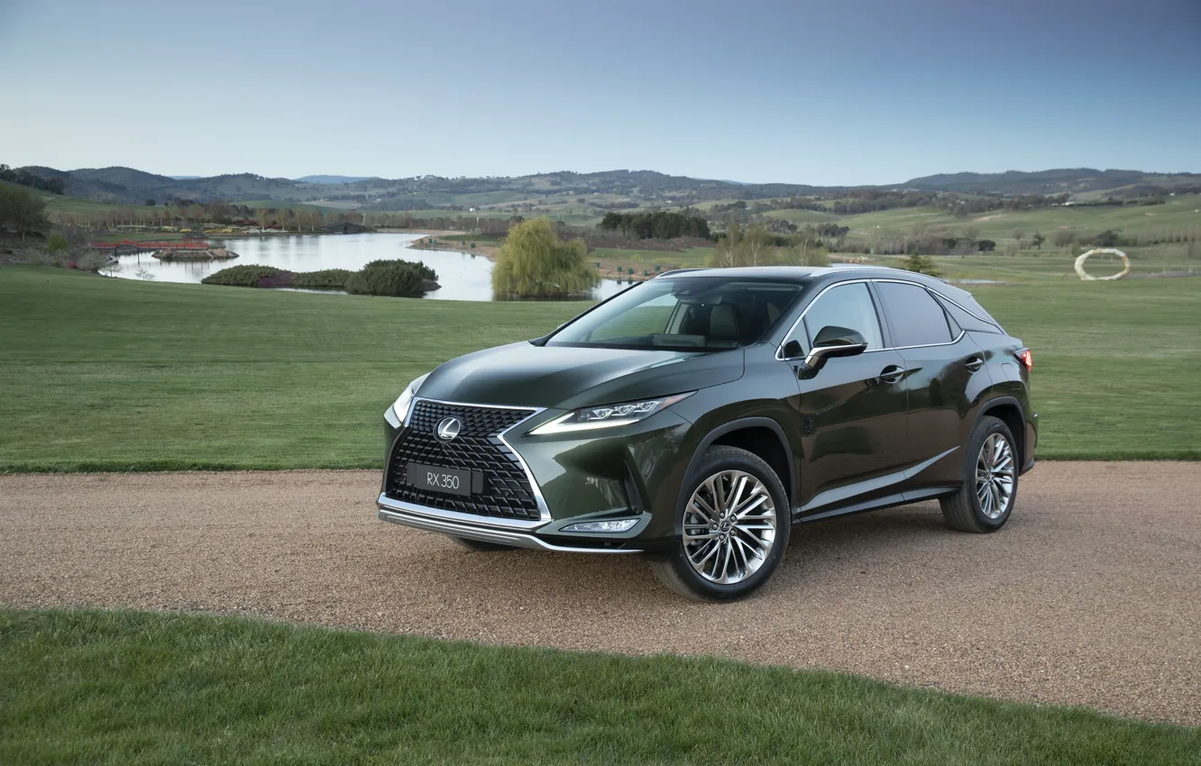 Фото обои зеленый, Lexus, Lexus RX, 2019, Lexus RX 350
