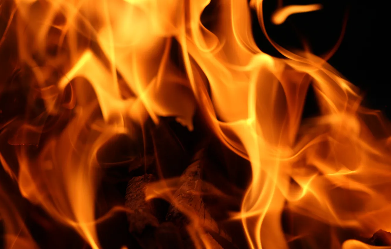 Фото обои огонь, костер, угли, шашлык, шампура
