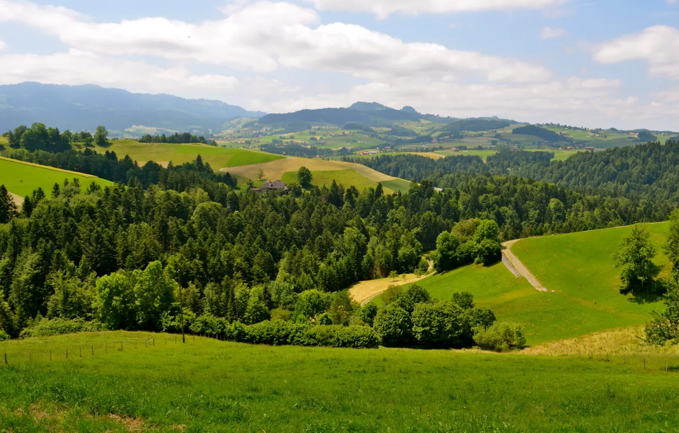 Фото обои city, wallpaper, Town