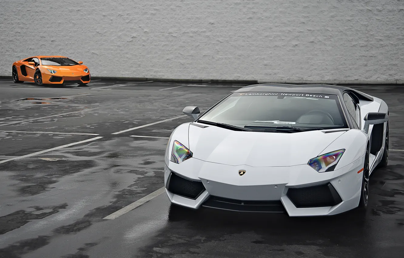 Фото обои Lamborghini, Оранжевая, Белая, Orange, White, LP700-4, Aventador, 2014