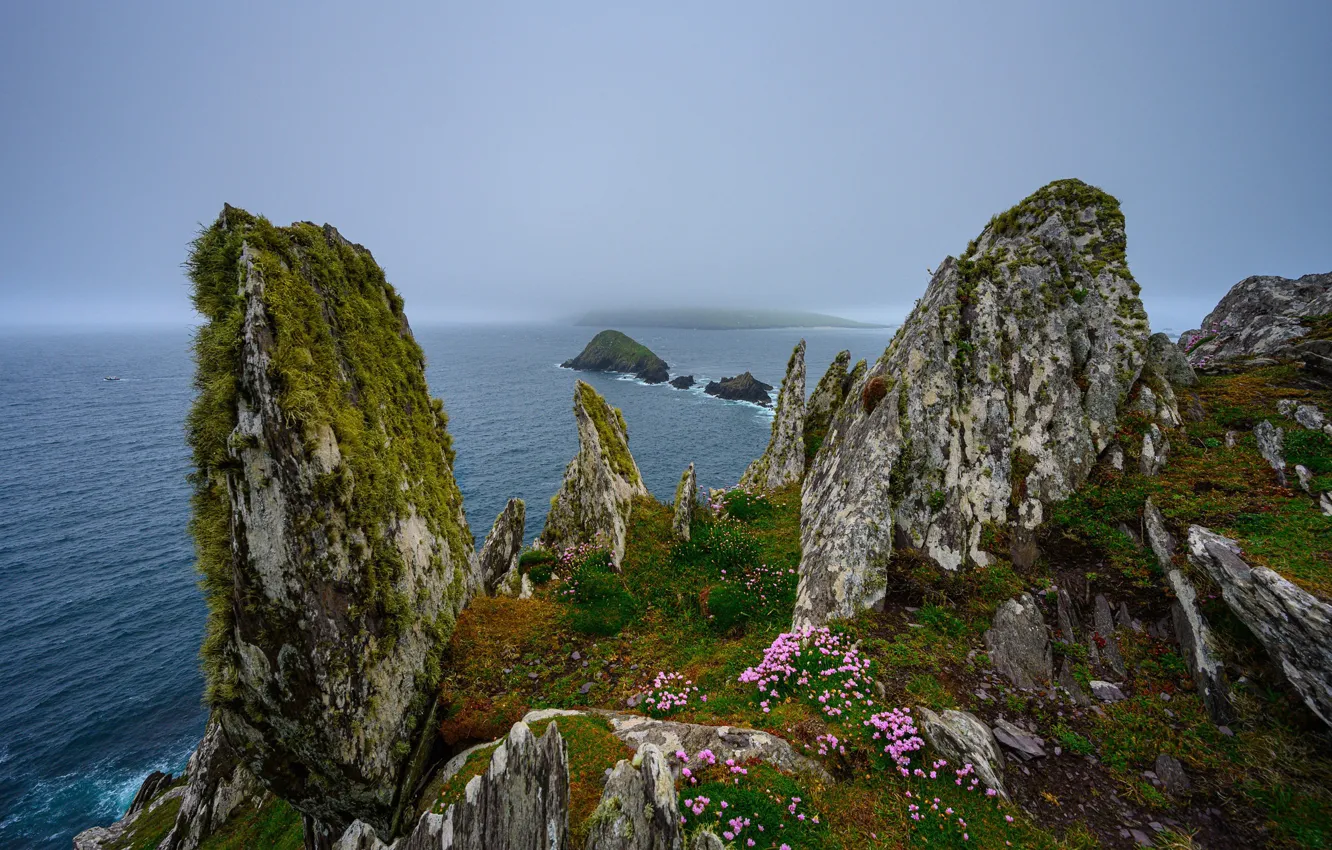 Фото обои море, скалы, берег, Ireland, Munster, Dunquin