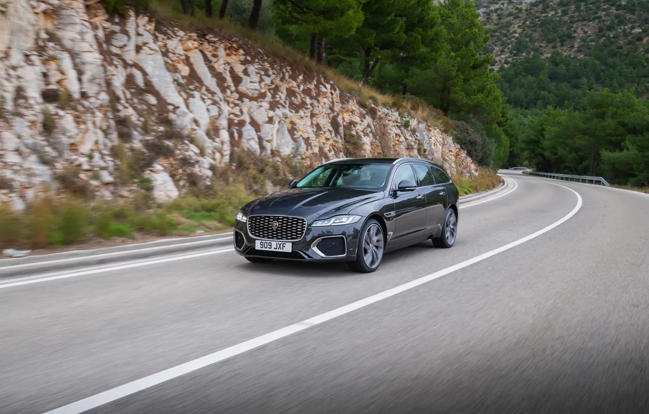 Фото обои растительность, Jaguar, склон, универсал, на дороге, Jaguar XF, 2020, XF