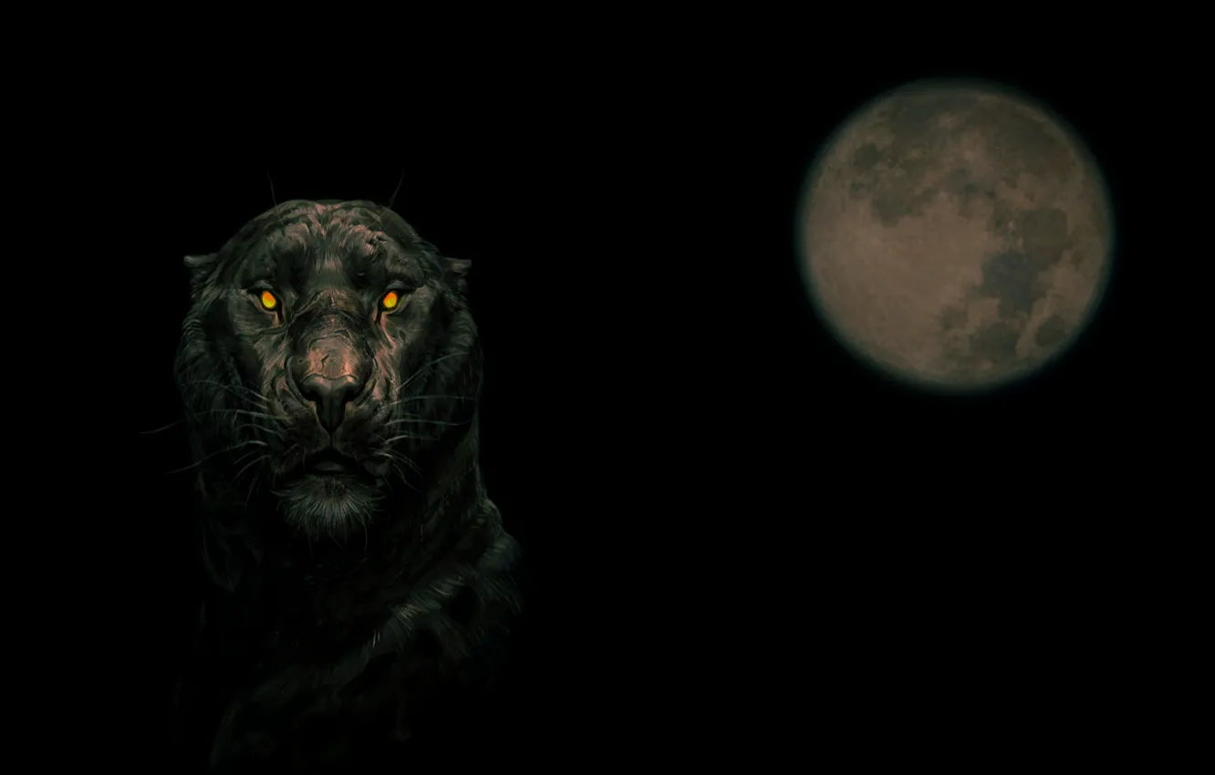 Фото обои ночь, луна, хищник