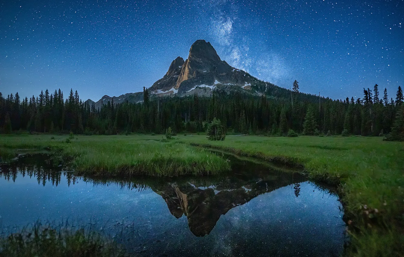 Фото обои лес, трава, звезды, горы, ночь, озеро, отражение, синева