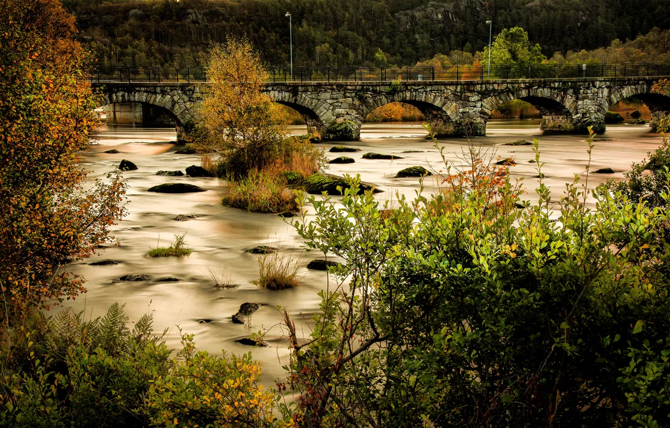 Фото обои лес, деревья, мост, река, камни, мох, Норвегия, фонари