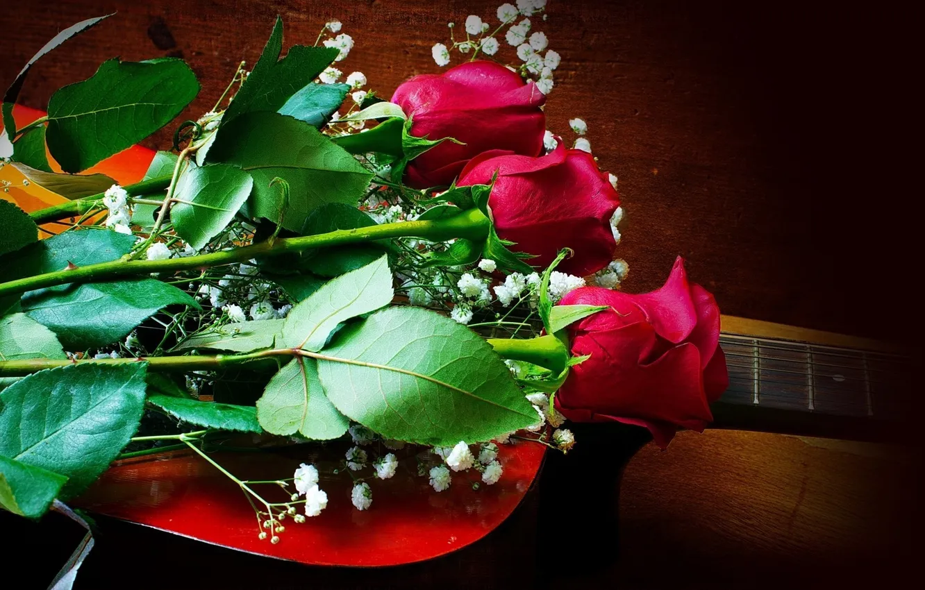 Фото обои цветы, розы, красные