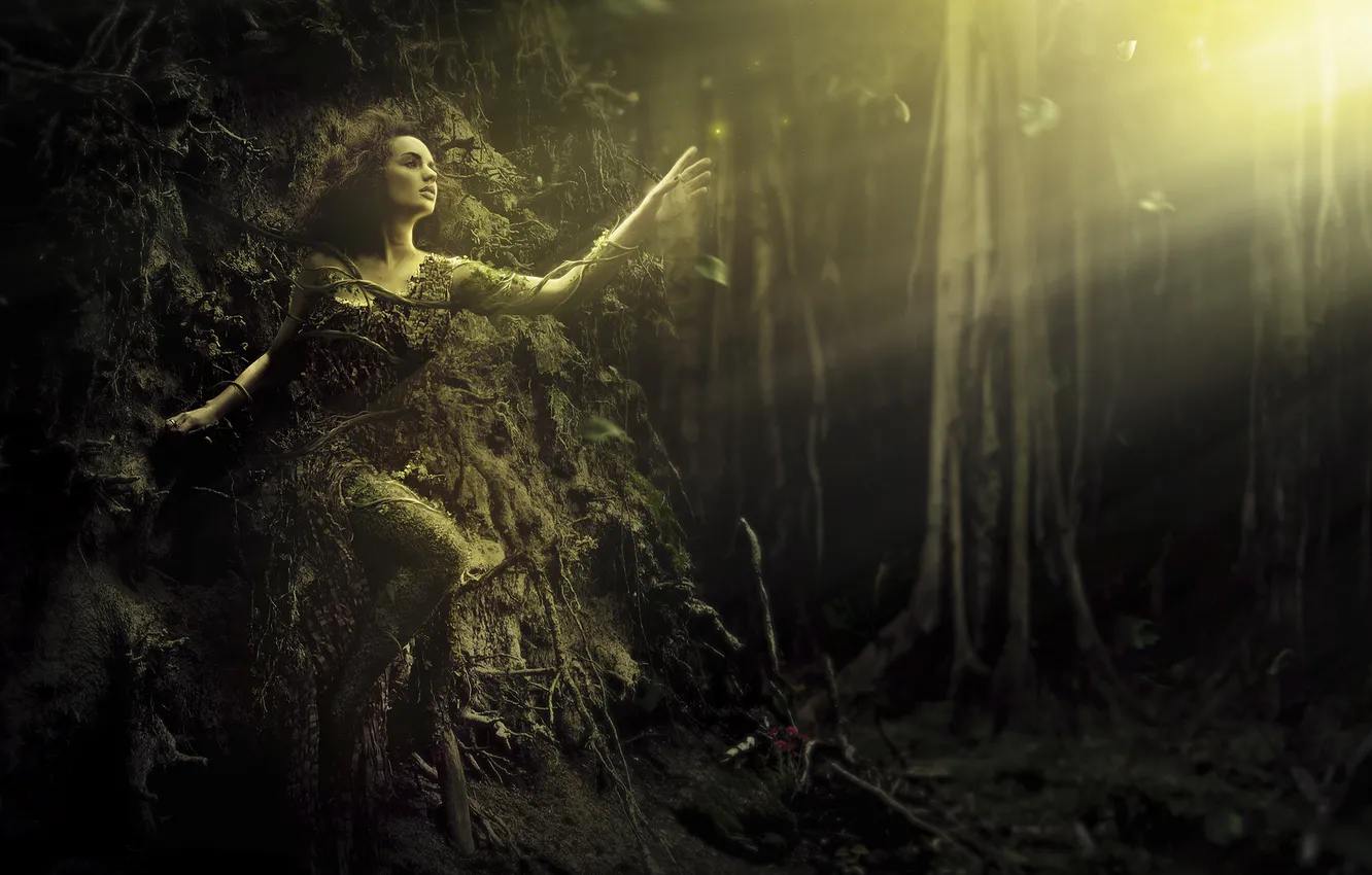 Фото обои лес, девушка, солнце, лучи, свет, деревья, корни, фентези