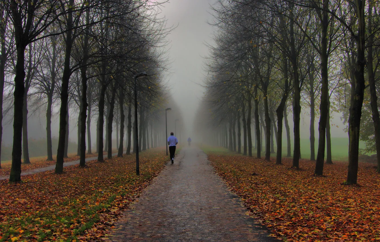 Фото обои осень, туман, парк, люди, утро, фонари, пробежка