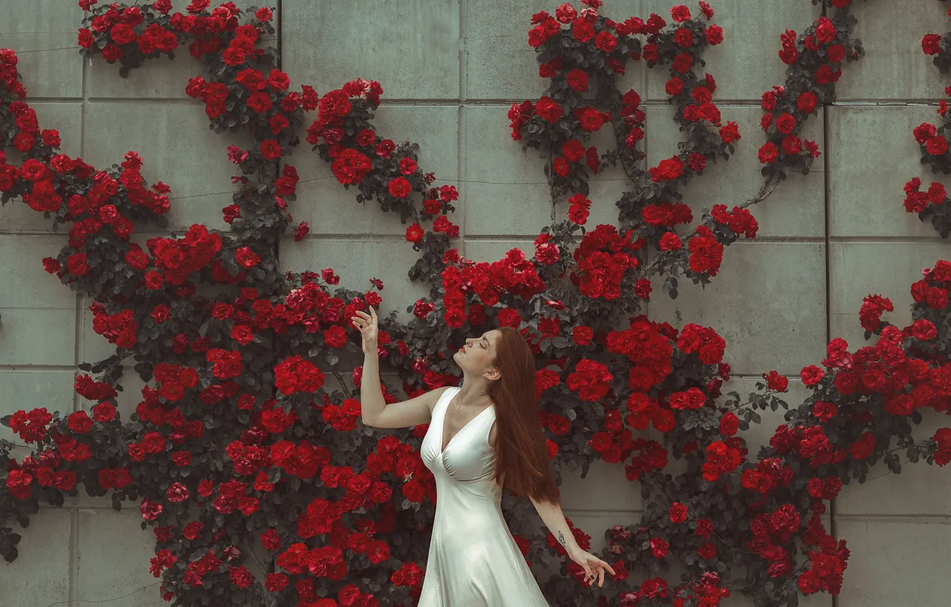Фото обои девушка, цветы, лицо, поза, стена, платье