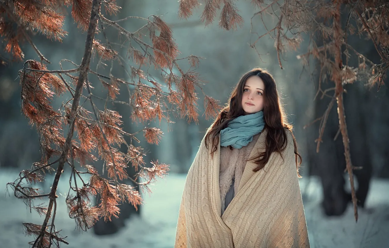 Фото обои зима, девочка, ельник, шаль