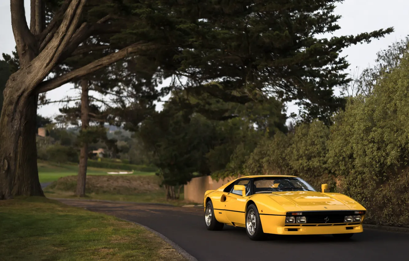 Фото обои Ferrari, GTO, 288, Prototipo