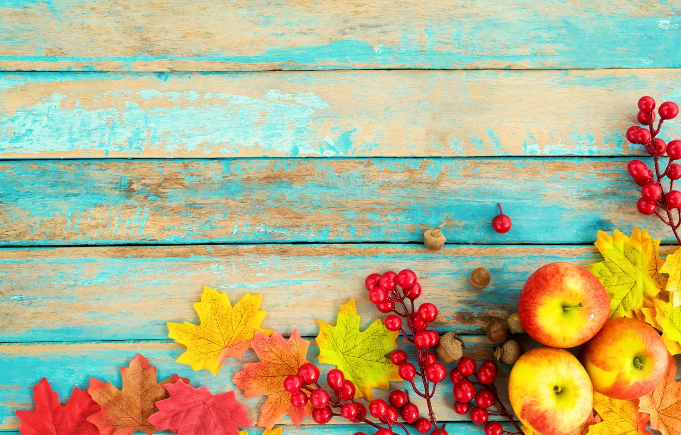 Фото обои осень, листья, ягоды, фон, дерево, яблоки, colorful, орехи