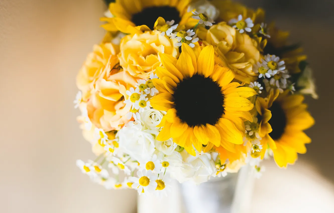 Фото обои подсолнухи, цветы, фон, розы, ромашки, букет, желтые, подсолнечник