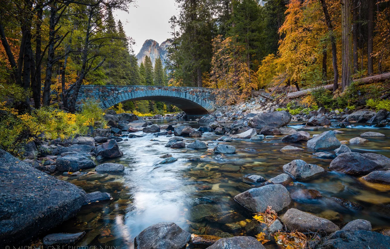 Фото обои осень, лес, деревья, река, камни, Калифорния, California, Национальный парк Йосемити