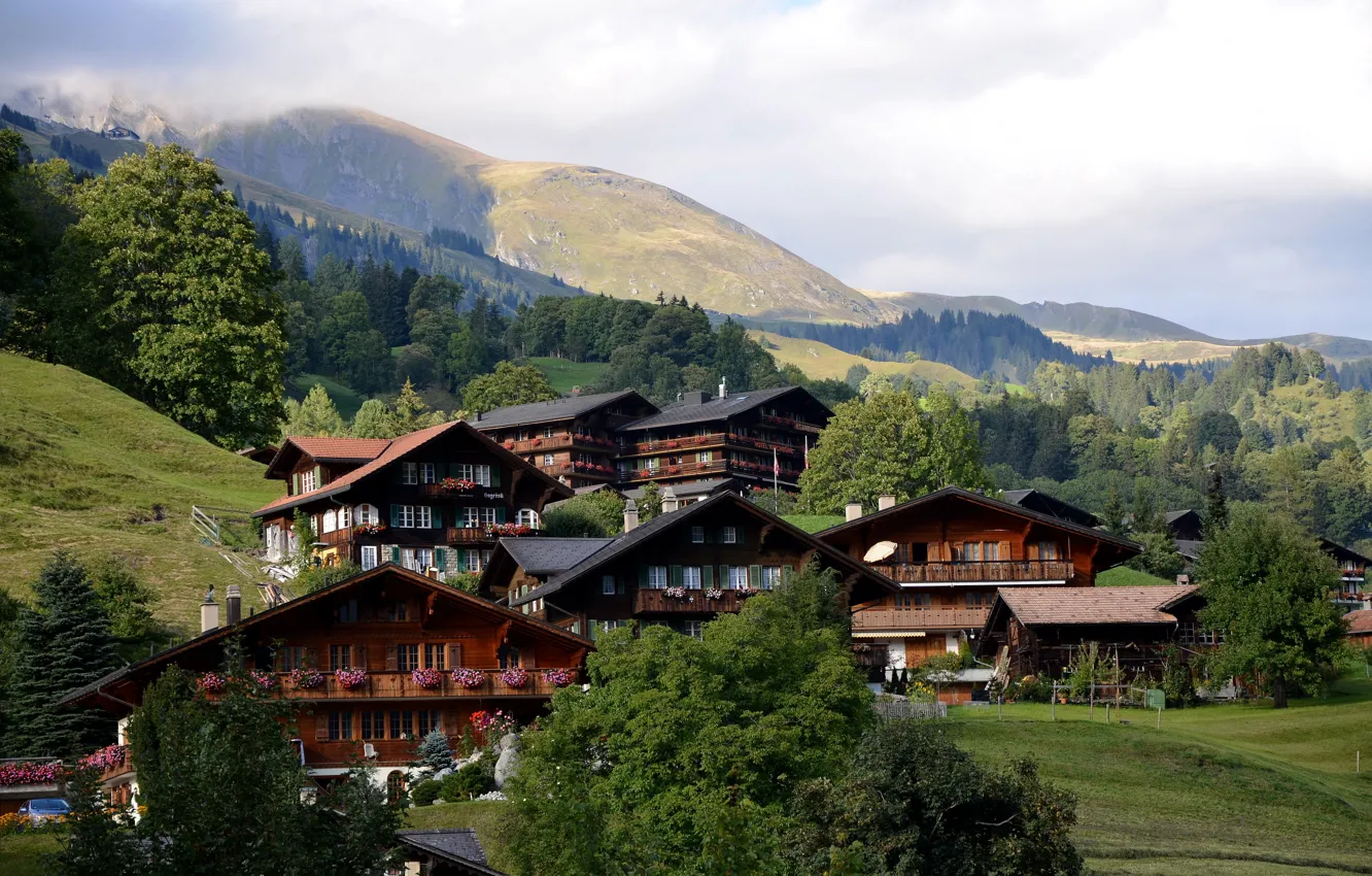 Фото обои city, nature, Town