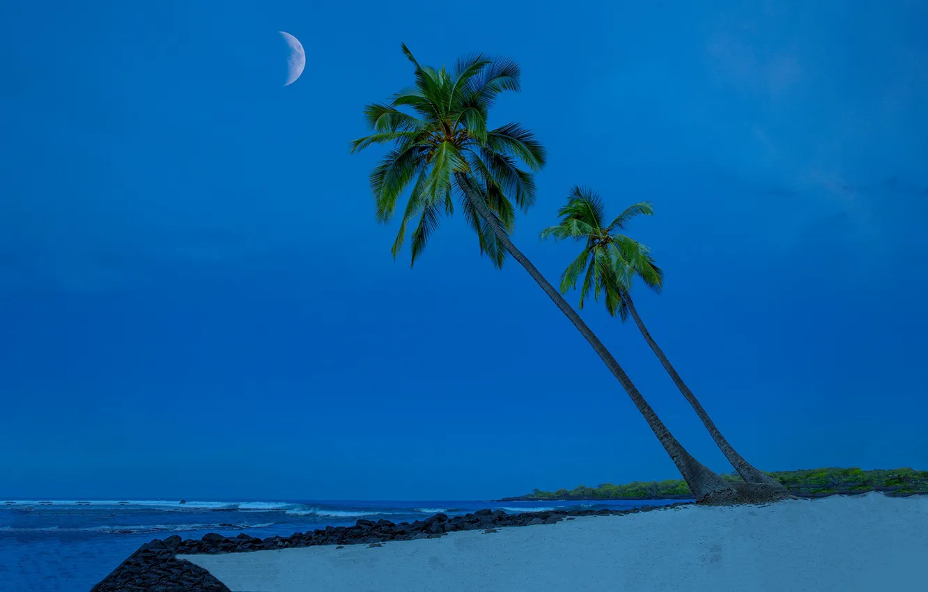 Фото обои песок, пляж, небо, пальмы, океан, побережье, Гавайи, Тихий океан