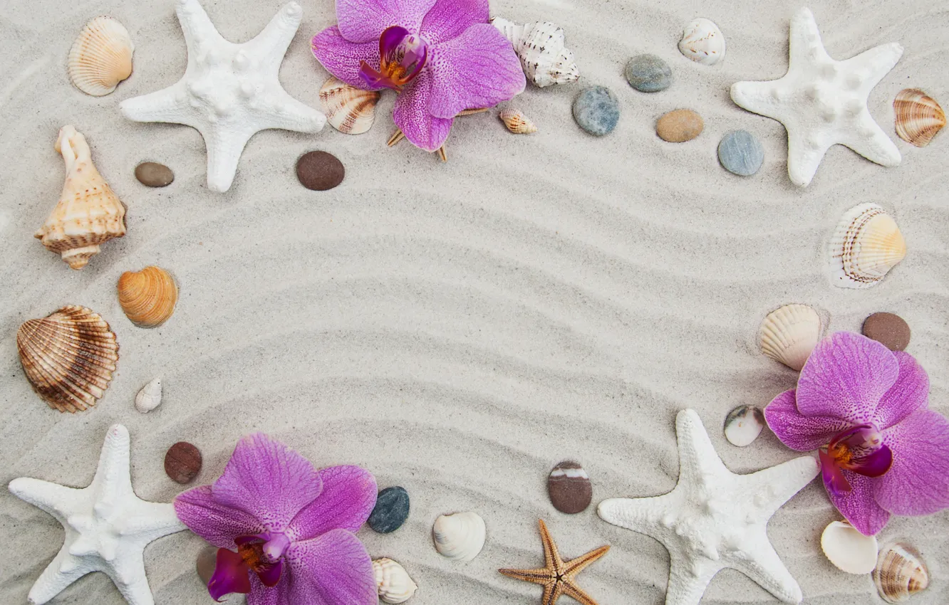 Фото обои песок, звезды, фон, ракушки, beach, орхидея, flowers, background