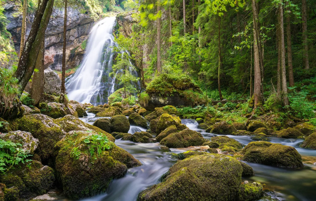 Фото обои зелень, природа, камни, водопад