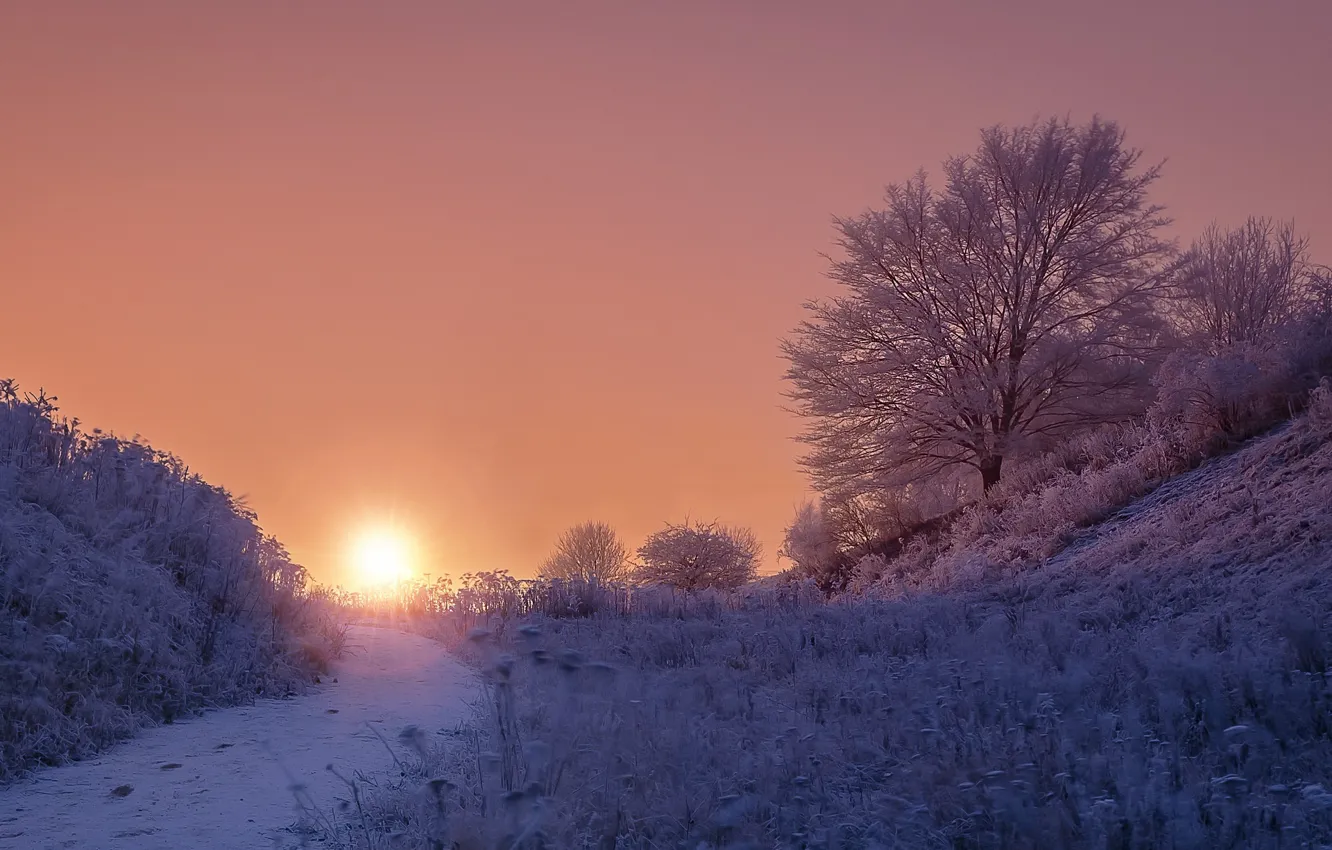 Cold winter. Ясная Поляна закат зимой. Холод закат. Иней лег. Зимний закат художественное фото.