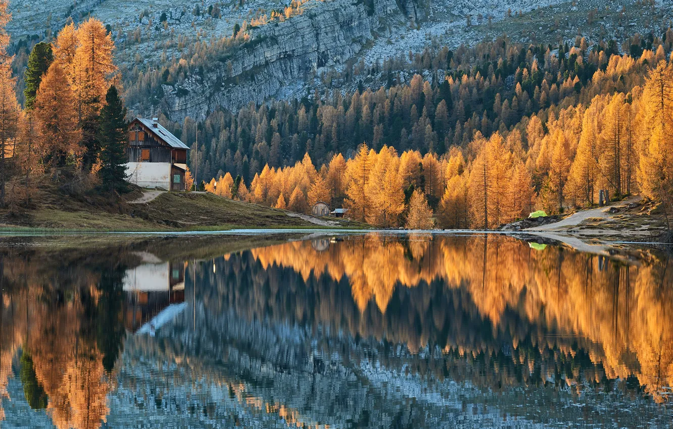 Фото обои forest, trees, autumn, lake, cabin