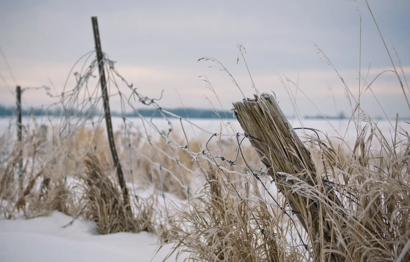 Фото обои зима, поле, забор