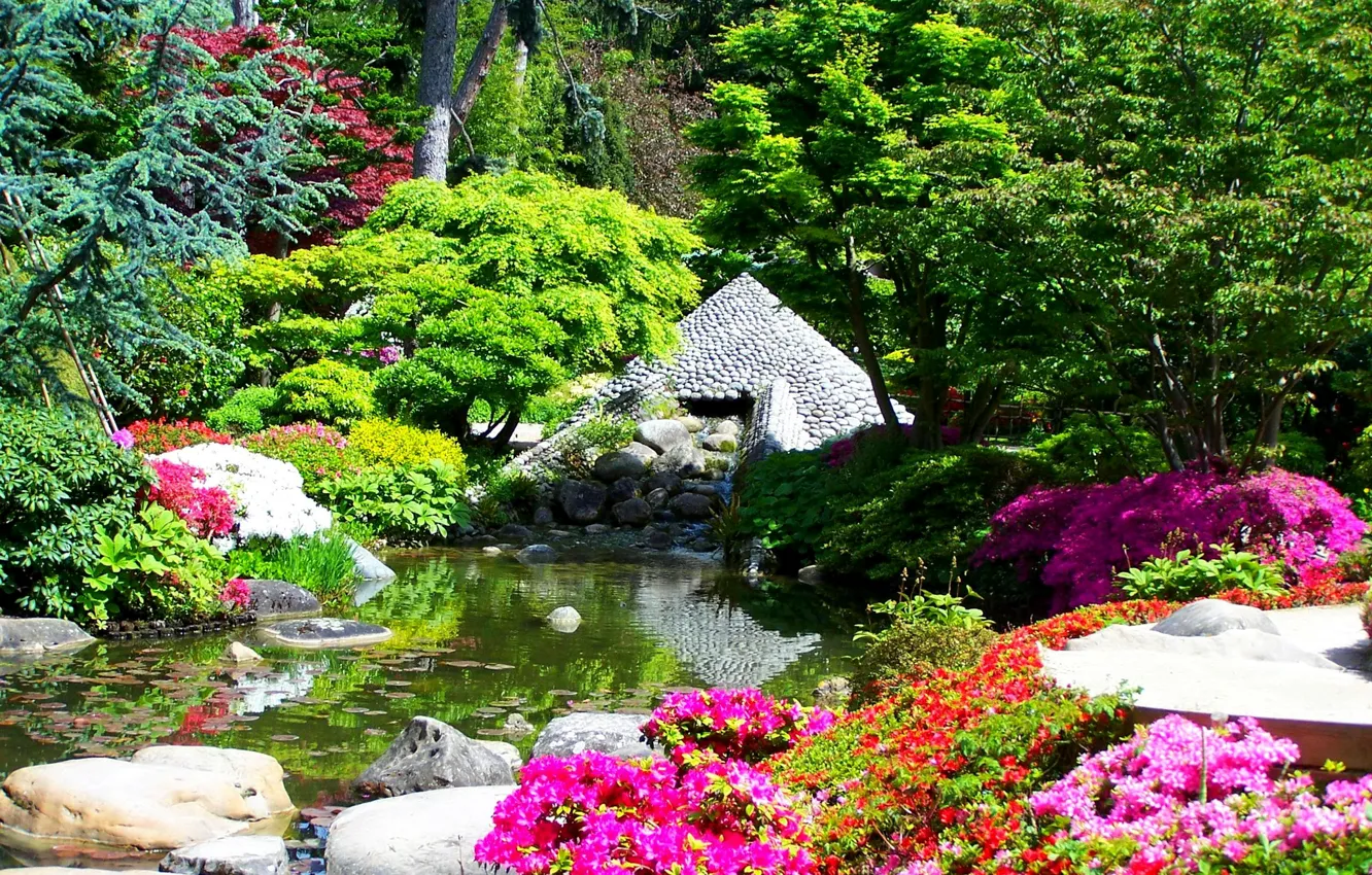 Фото обои деревья, цветы, пруд, камни, Франция, сад, кусты, Albert-Kahn Japanese gardens