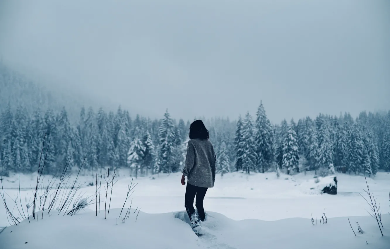 Фото обои lost, girl, winter, snowing
