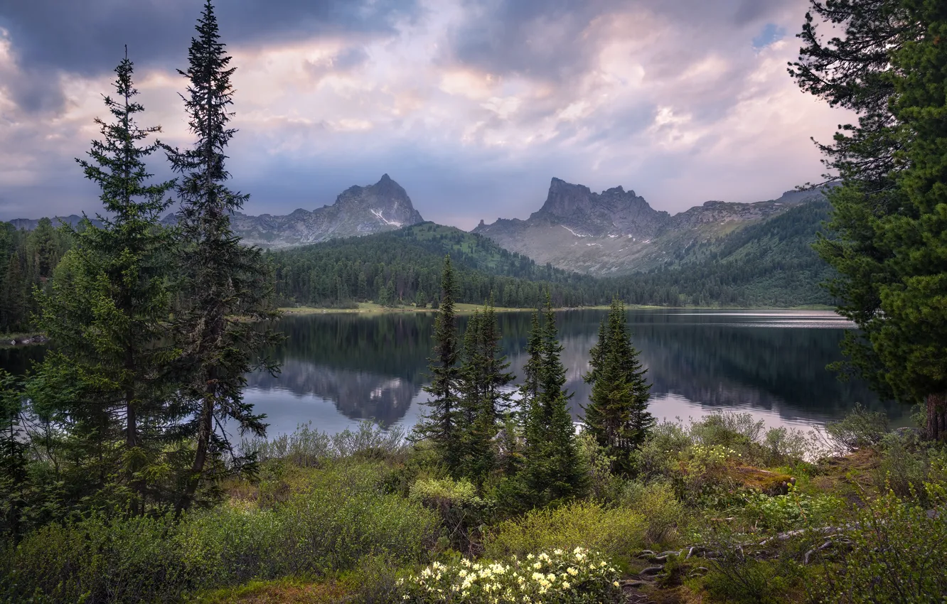 Фото обои лес, небо, облака, горы, туман, озеро, отражение, берег