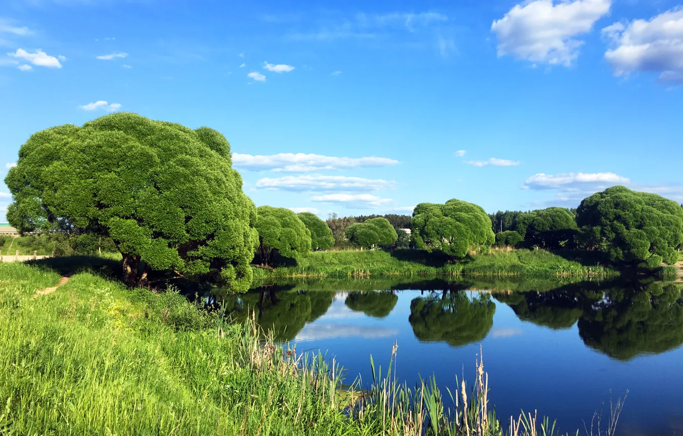 Фото обои лето, деревья, природа, озеро