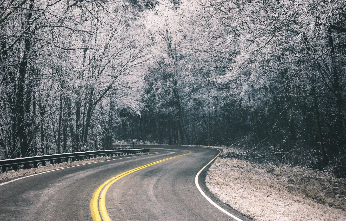 Фото обои зима, дорога, деревья, природа, поворот