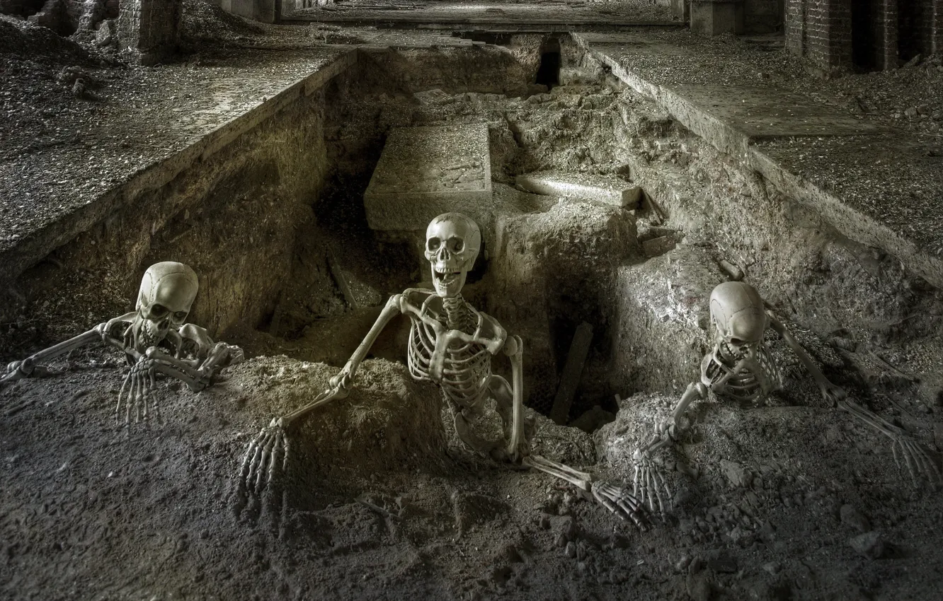 Фото обои праздник, скелеты, могила