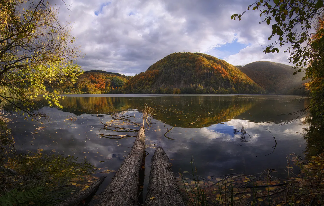 Фото обои осень, листья, деревья, горы, озеро, отражение, дерево, ветви