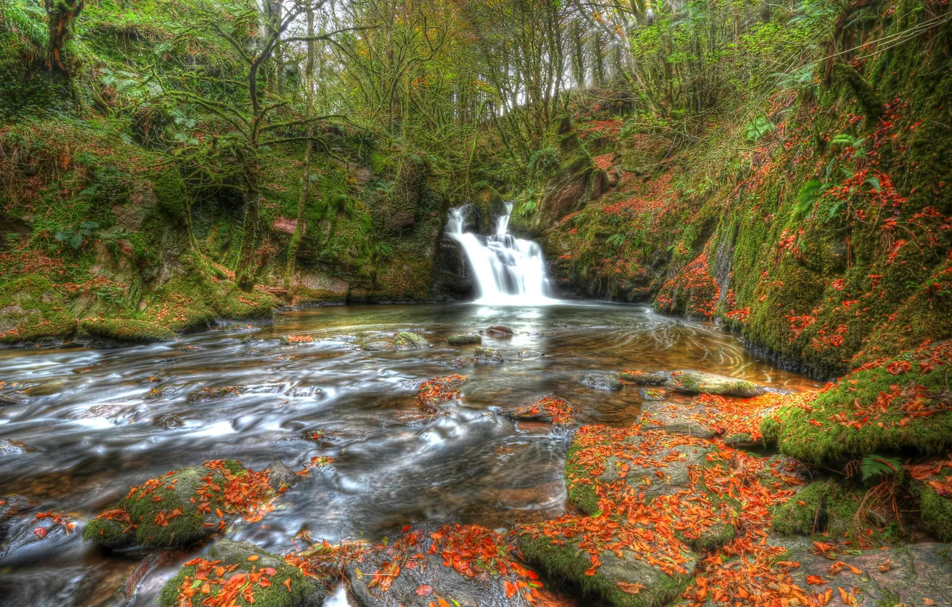 Фото обои осень, лес, листья, река, камни, водопад, Ирландия, Ireland