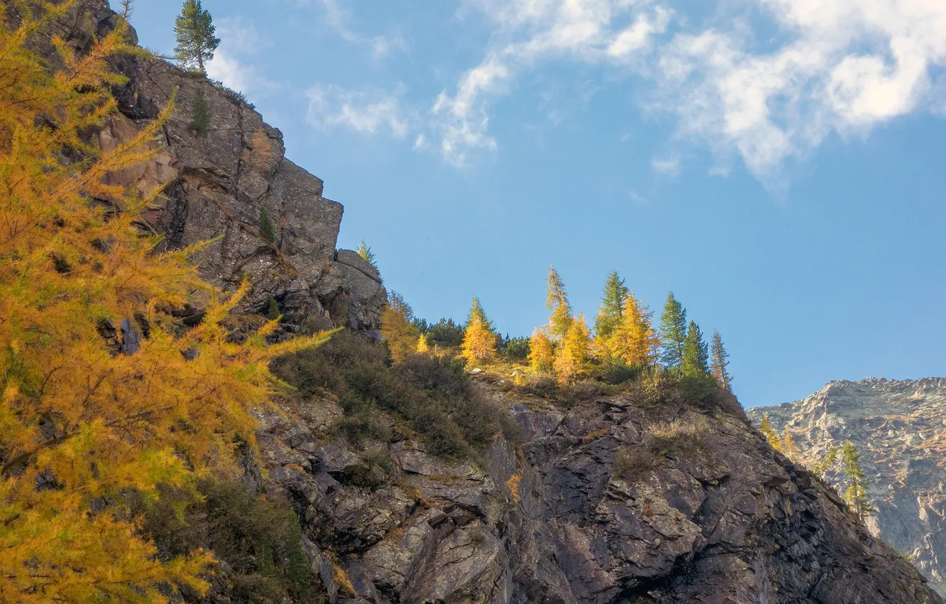 Фото обои осень, небо, деревья, горы, скалы
