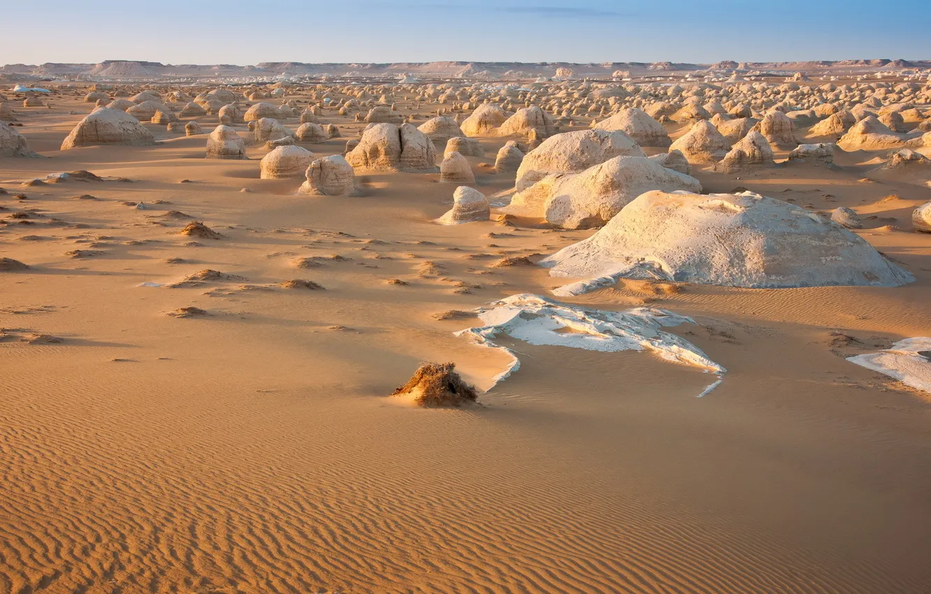 Фото обои пейзаж, природа, пустыня