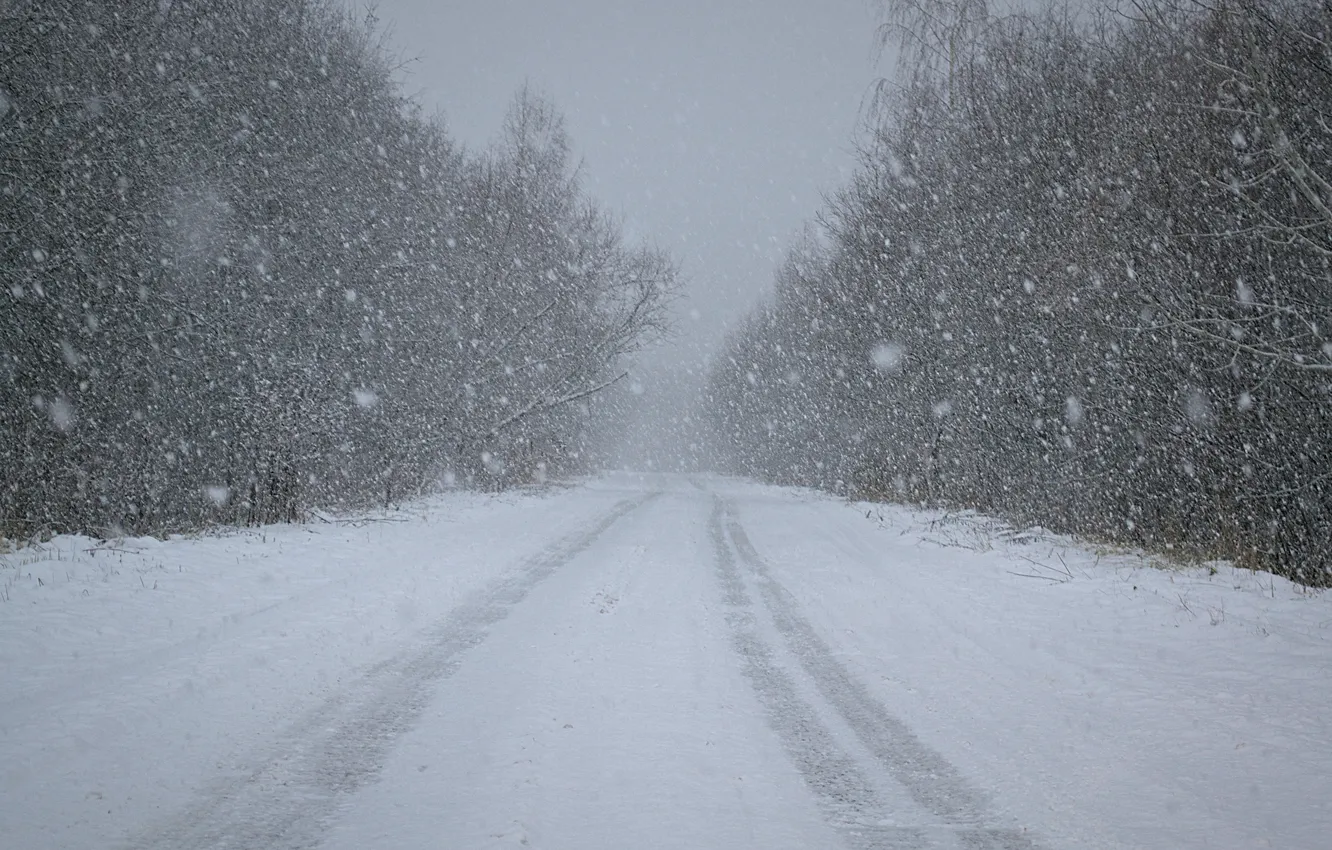 Фото обои зима, дорога, лес, снег, природа, минимализм, снегопад