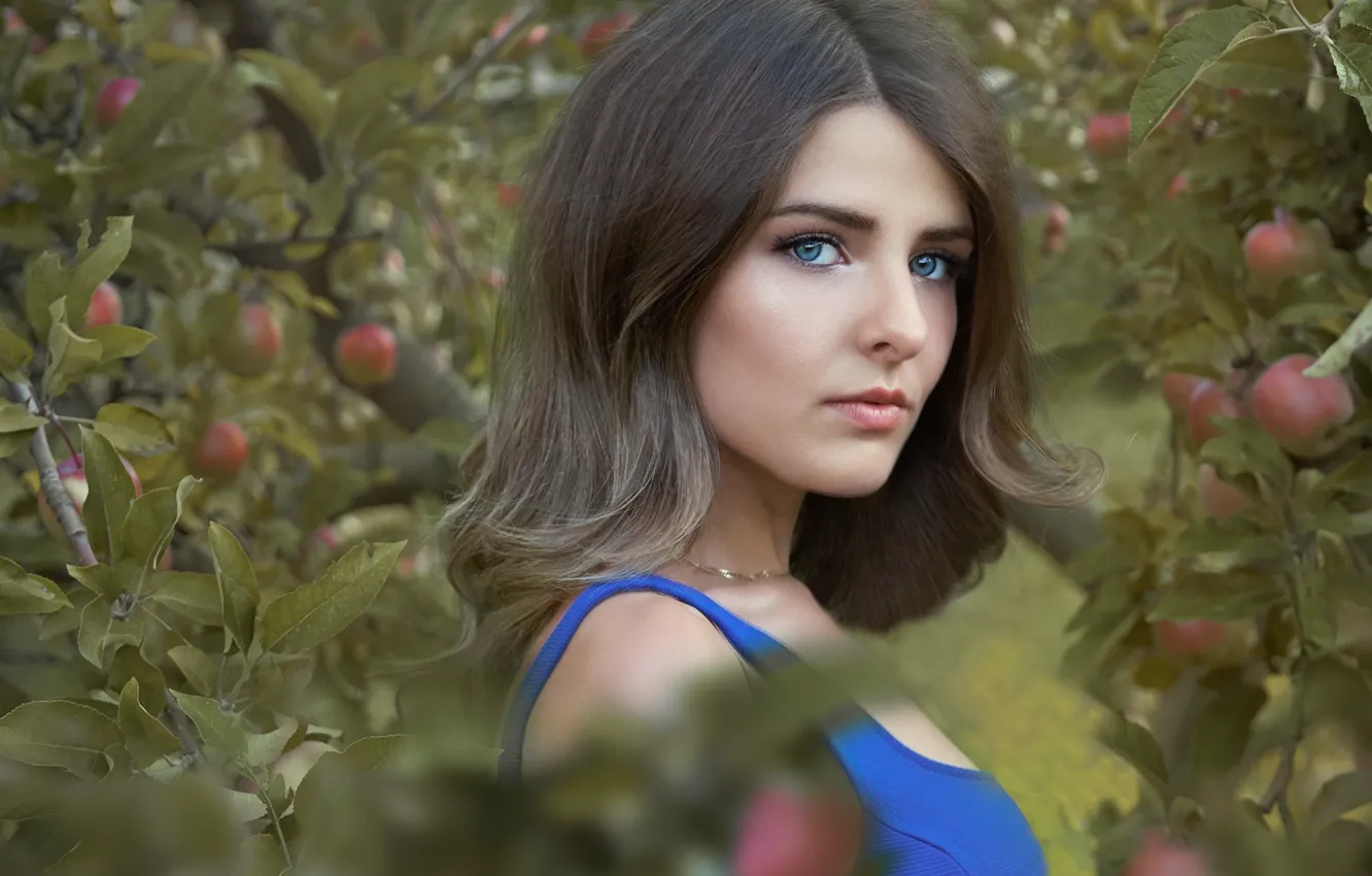 Фото обои взгляд, девушка, лицо, яблоки, портрет, сад, Карина, яблони