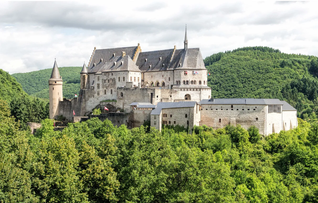 Фото обои лес, замок, Люксембург, Vianden, Luxembourg, Diekirch, Вианден, Vianden Castle