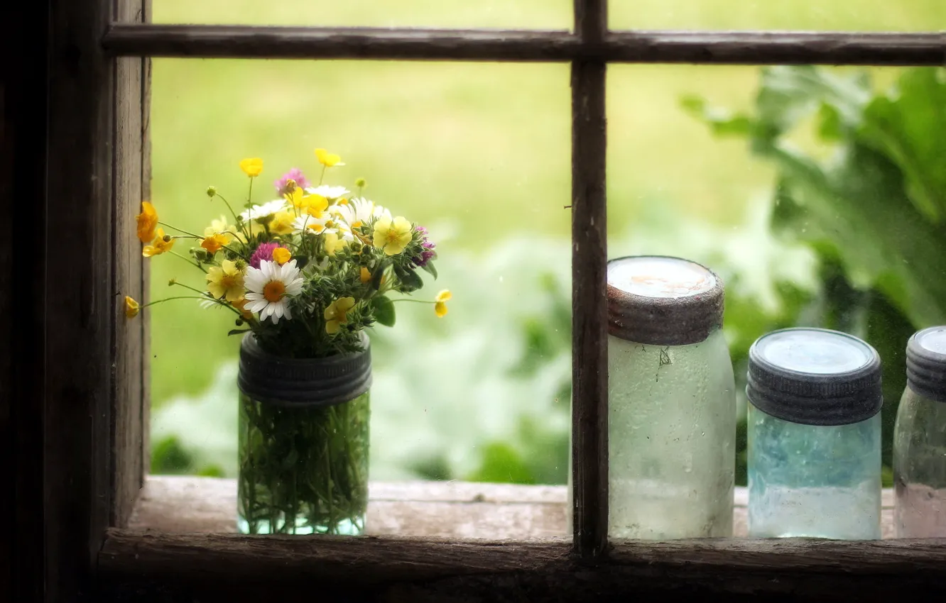 Фото обои цветы, окно, банки
