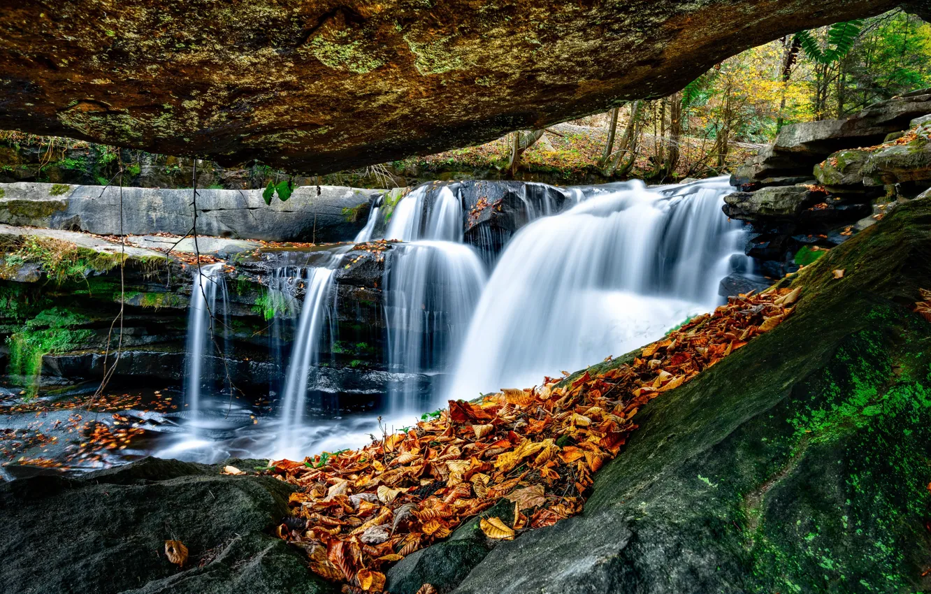 Фото обои осень, река, водопад, Западная Вирджиния, каскад, опавшие листья, West Virginia, Ручей Данлоуп