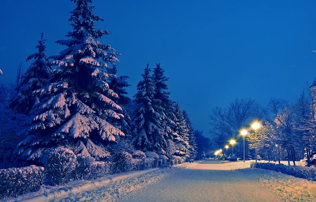 Фото обои зима, дорога, снег, пейзаж, парк, вечер, ели, фонари