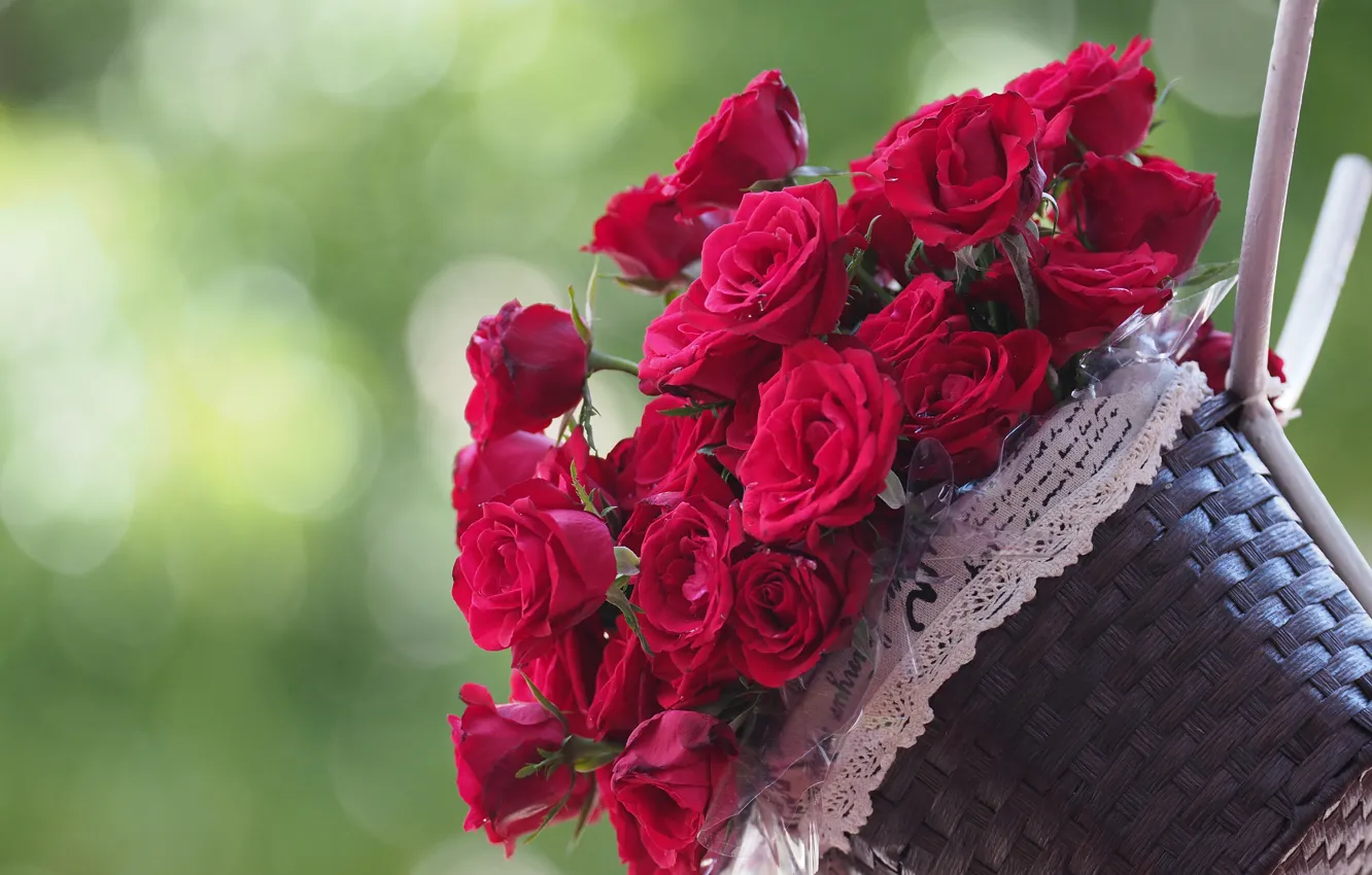 Фото обои фон, розы, корзинка, бутоны