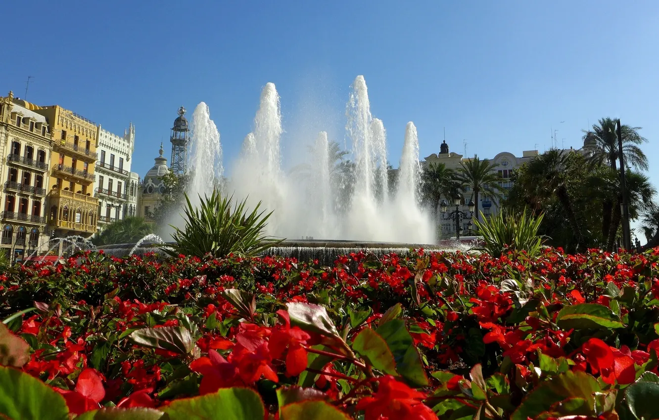 Фото обои цветы, фонтан, Испания, клумба, Spain, Valencia, Валенсия, бегонии