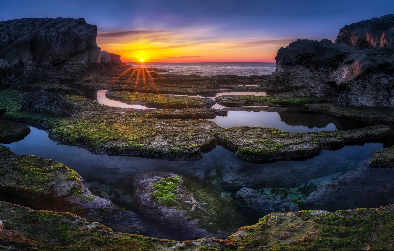 Фото обои море, закат, берег