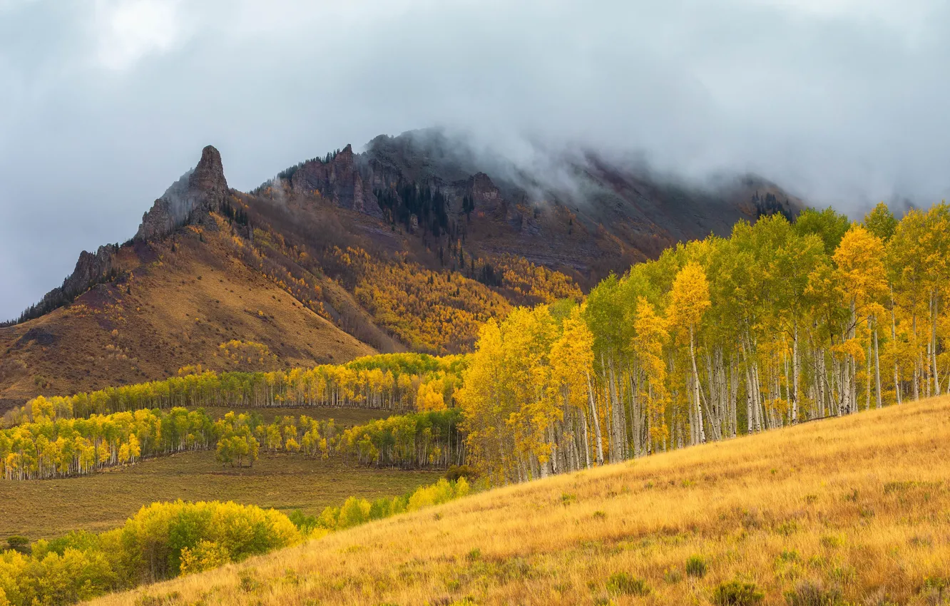 Фото обои поле, осень, лес, облака, горы, склон