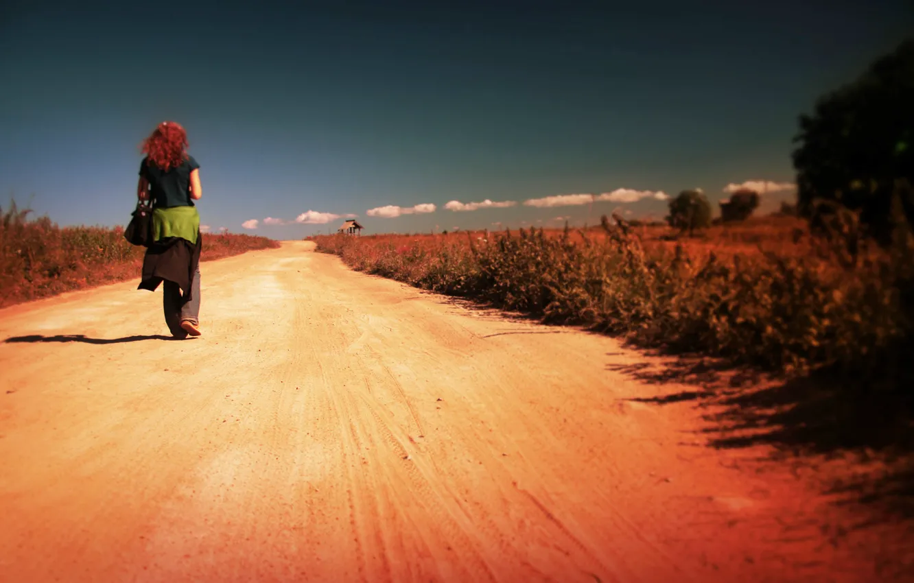Фото обои girl, road, alone, walking