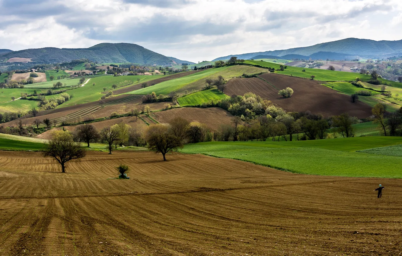 Фото обои деревья, горы, холмы, поля, Италия, пугало, Кампанья