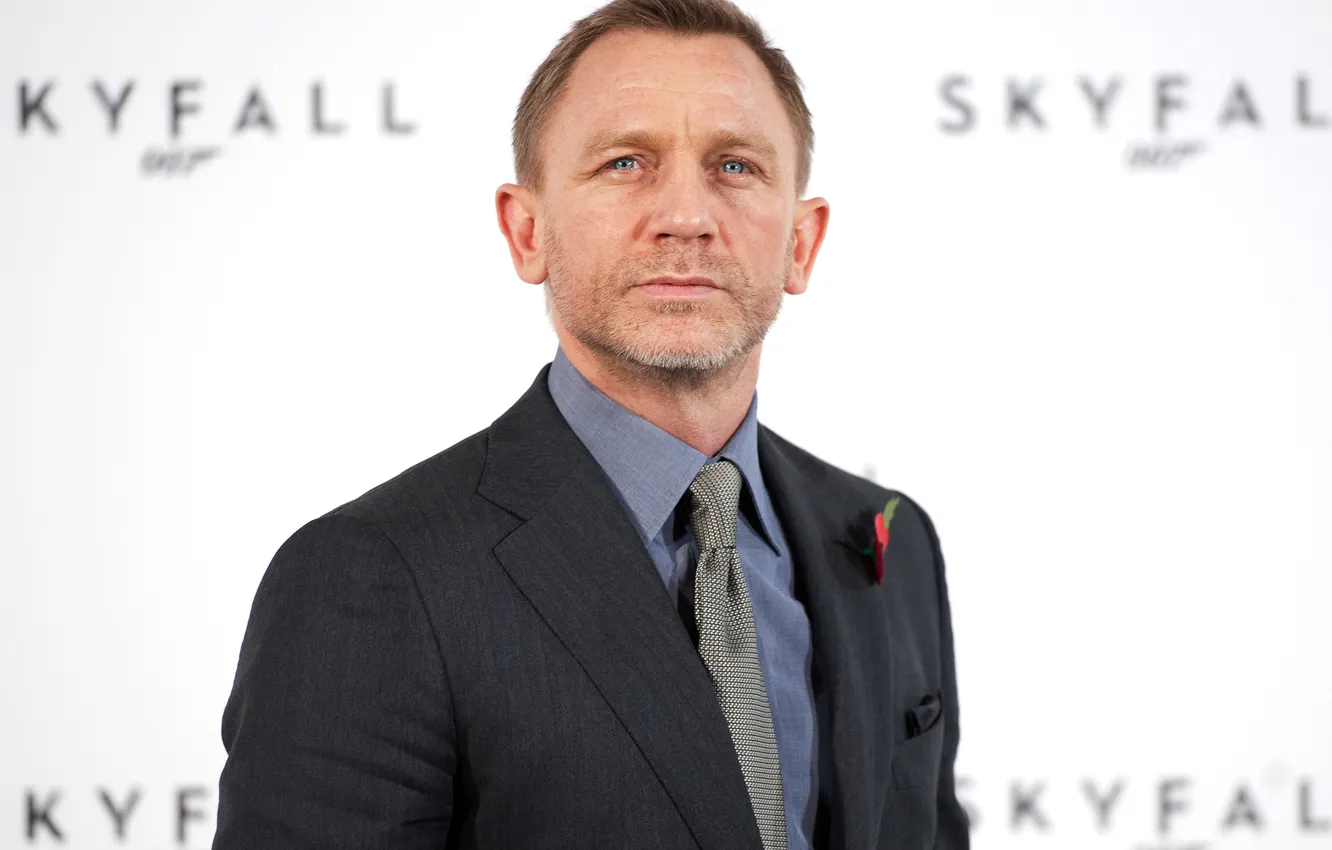Фото обои портрет, костюм, белый фон, актёр, Daniel Craig, Дэниэл Крэйг, Skyfall